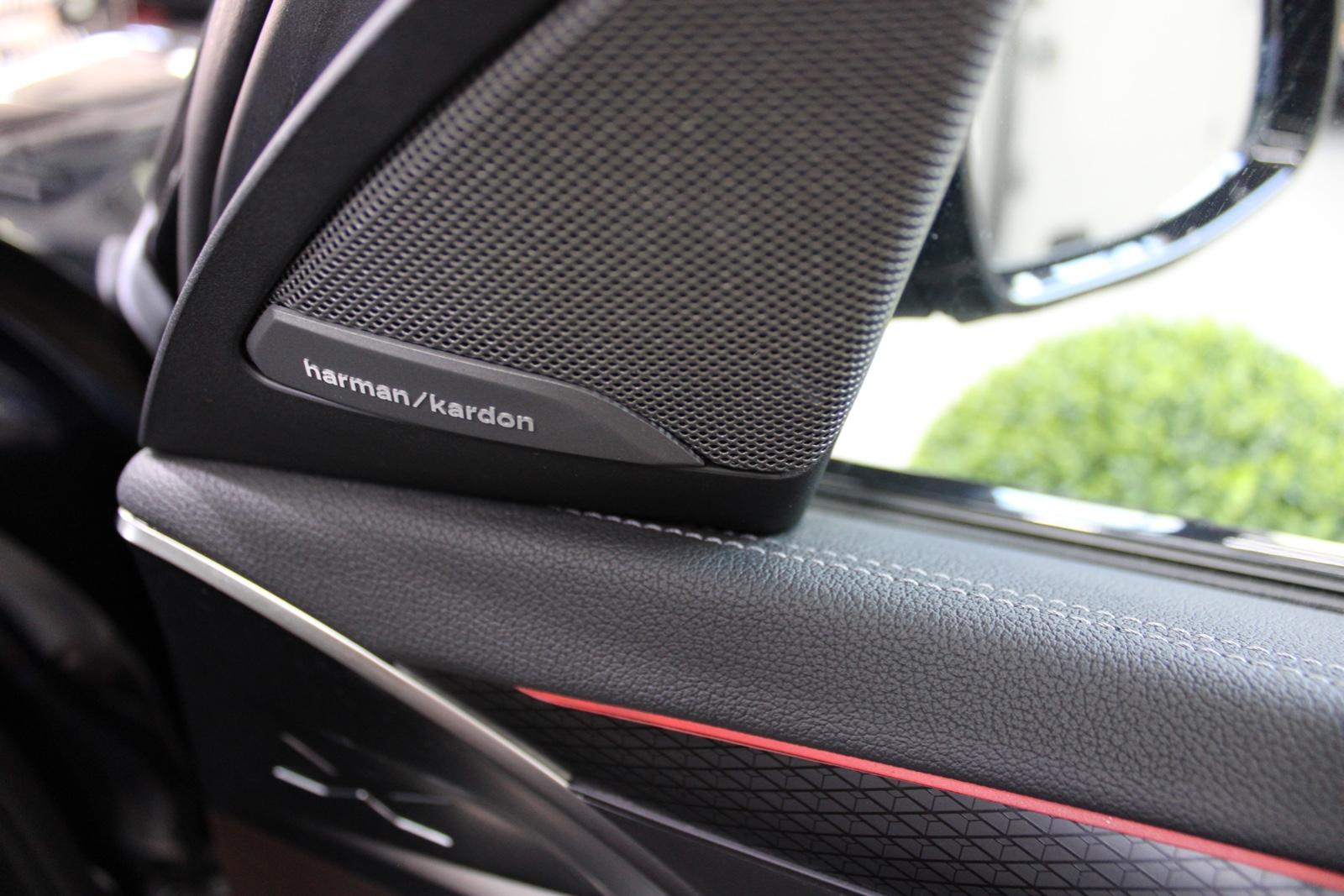 BMW X4 M40d G02 Leder Vernasca/Mokka Dekorsteppung full